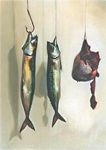 Hanging Fish and Sheep's Heart